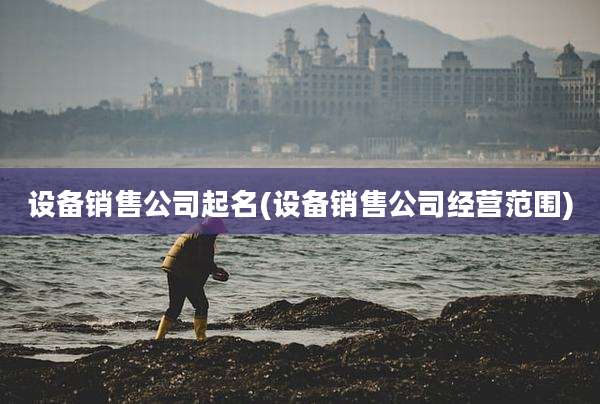 设备销售公司起名(设备销售公司经营范围)
