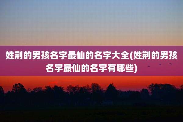 姓荆的男孩名字最仙的名字大全(姓荆的男孩名字最仙的名字有哪些)
