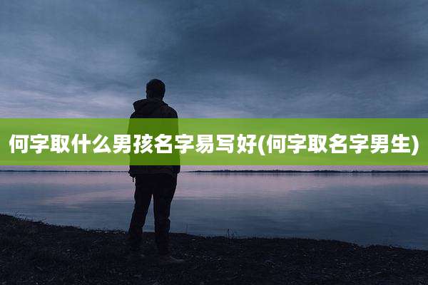 何字取什么男孩名字易写好(何字取名字男生)