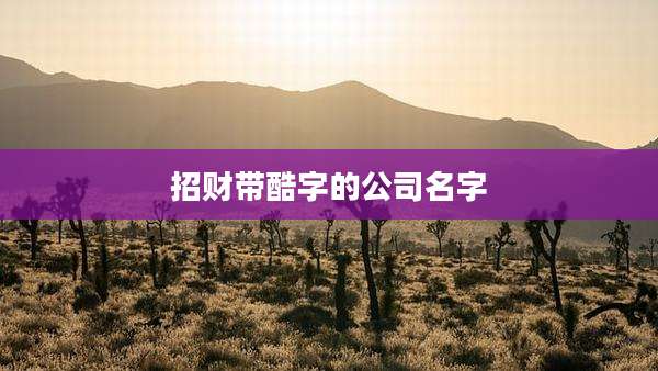 招财带酷字的公司名字