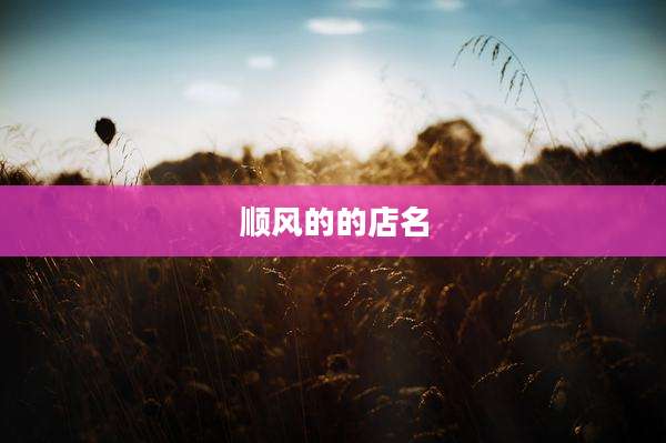 顺风的的店名