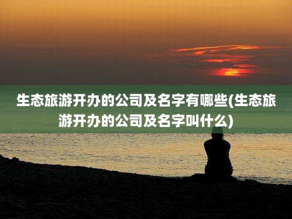 生态旅游开办的公司及名字有哪些(生态旅游开办的公司及名字叫什么)