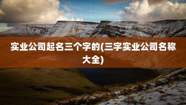 实业公司起名三个字的(三字实业公司名称大全)