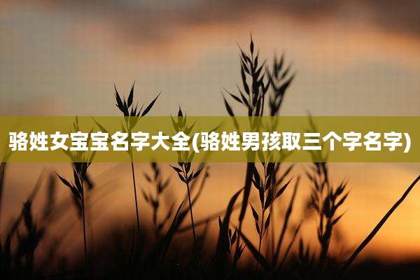骆姓女宝宝名字大全(骆姓男孩取三个字名字)