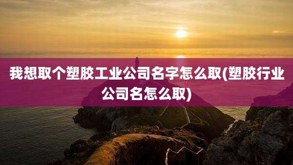 我想取个塑胶工业公司名字怎么取(塑胶行业公司名怎么取)