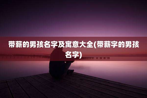 带薪的男孩名字及寓意大全(带薪字的男孩名字)