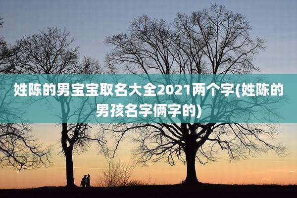姓陈的男宝宝取名大全2021两个字(姓陈的男孩名字俩字的)