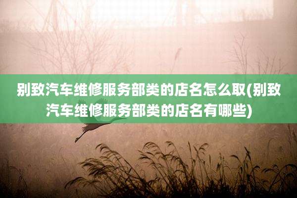 别致汽车维修服务部类的店名怎么取(别致汽车维修服务部类的店名有哪些)