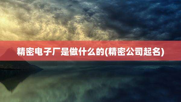 精密电子厂是做什么的(精密公司起名)
