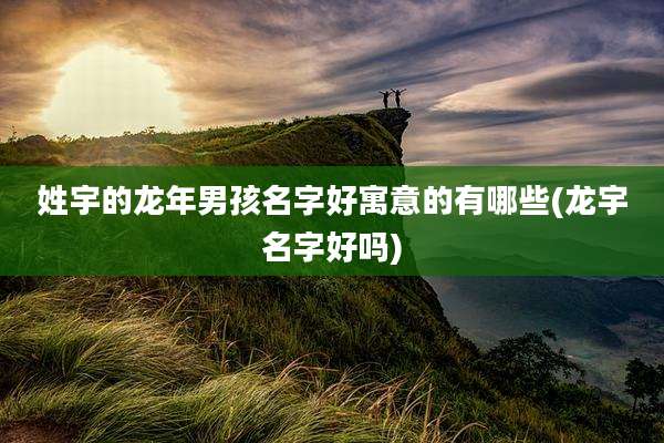 姓宇的龙年男孩名字好寓意的有哪些(龙宇名字好吗)
