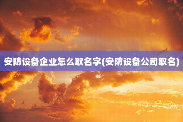 安防设备企业怎么取名字(安防设备公司取名)