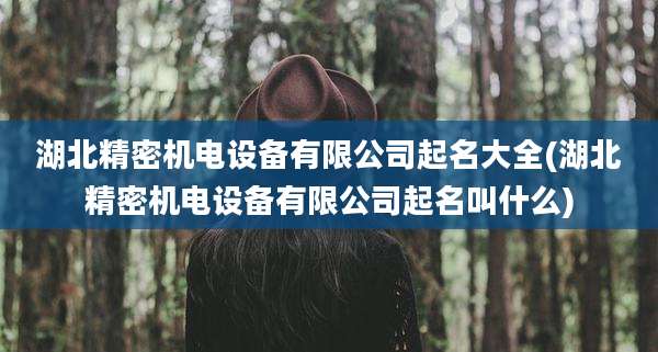湖北精密机电设备有限公司起名大全(湖北精密机电设备有限公司起名叫什么)