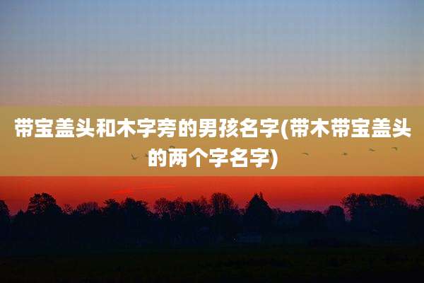 带宝盖头和木字旁的男孩名字(带木带宝盖头的两个字名字)