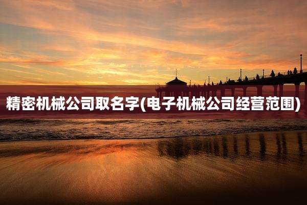 精密机械公司取名字(电子机械公司经营范围)