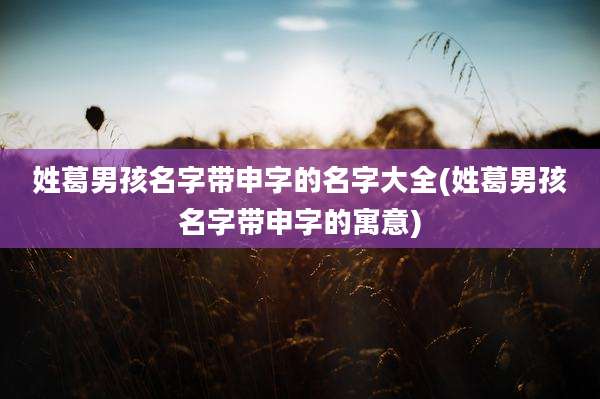 姓葛男孩名字带申字的名字大全(姓葛男孩名字带申字的寓意)