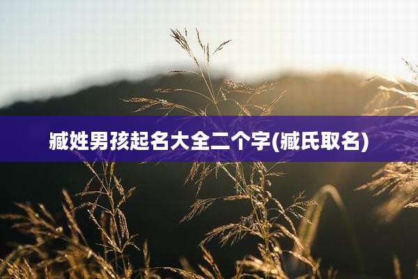 臧姓男孩起名大全二个字(臧氏取名)