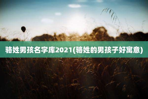 骆姓男孩名字库2021(骆姓的男孩子好寓意)