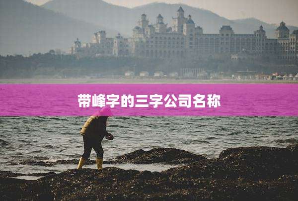 带峰字的三字公司名称