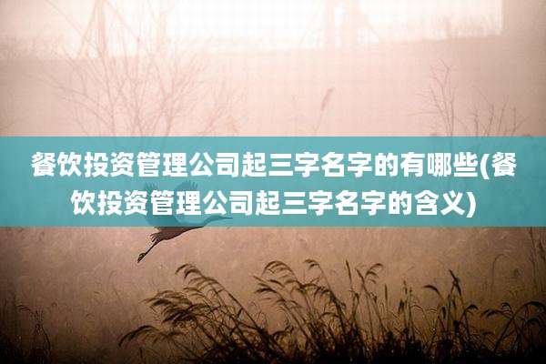 餐饮投资管理公司起三字名字的有哪些(餐饮投资管理公司起三字名字的含义)