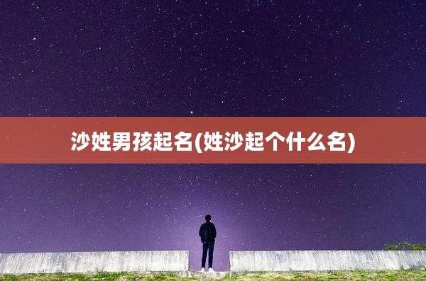 沙姓男孩起名(姓沙起个什么名)