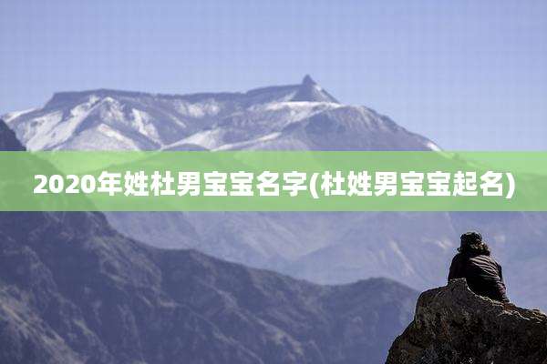 2020年姓杜男宝宝名字(杜姓男宝宝起名)