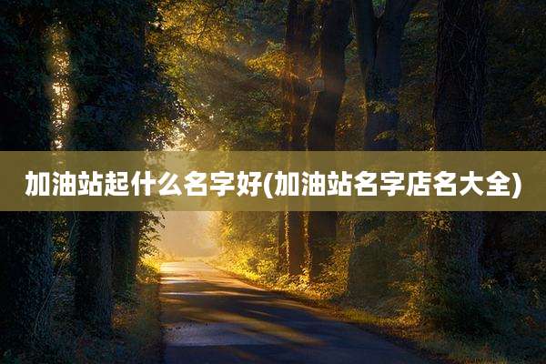 加油站起什么名字好(加油站名字店名大全)