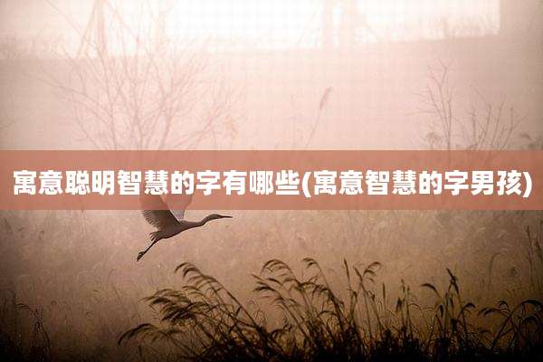 寓意聪明智慧的字有哪些(寓意智慧的字男孩)
