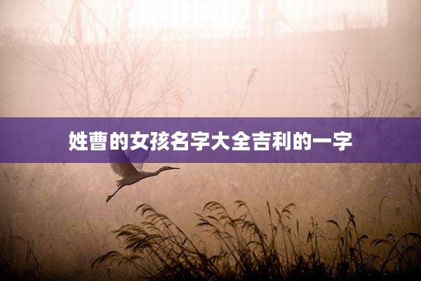 姓曹的女孩名字大全吉利的一字