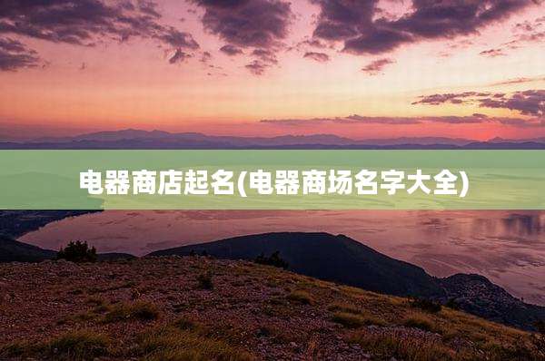 电器商店起名(电器商场名字大全)