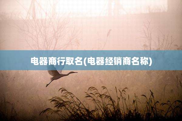 电器商行取名(电器经销商名称)