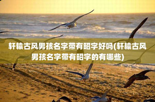 轩辕古风男孩名字带有昭字好吗(轩辕古风男孩名字带有昭字的有哪些)