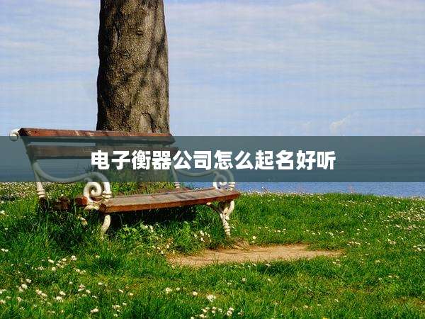 电子衡器公司怎么起名好听