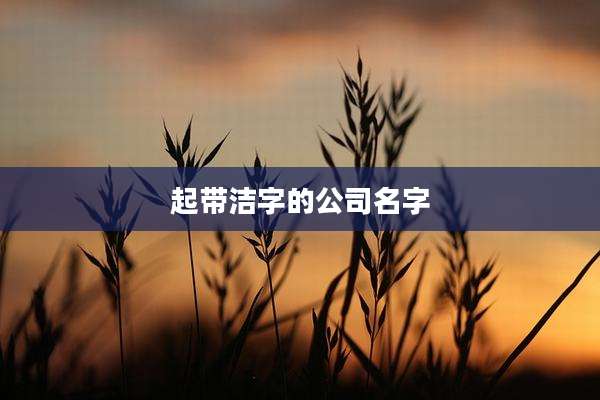 起带洁字的公司名字