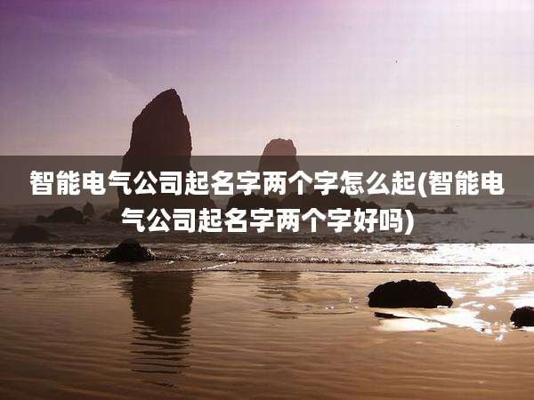 智能电气公司起名字两个字怎么起(智能电气公司起名字两个字好吗)