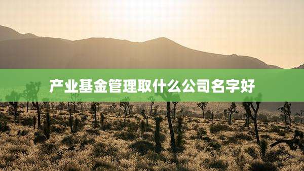产业基金管理取什么公司名字好