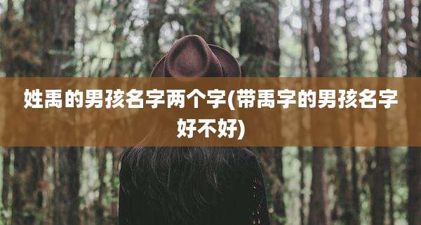姓禹的男孩名字两个字(带禹字的男孩名字好不好)