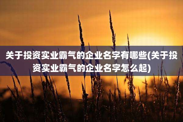 关于投资实业霸气的企业名字有哪些(关于投资实业霸气的企业名字怎么起)