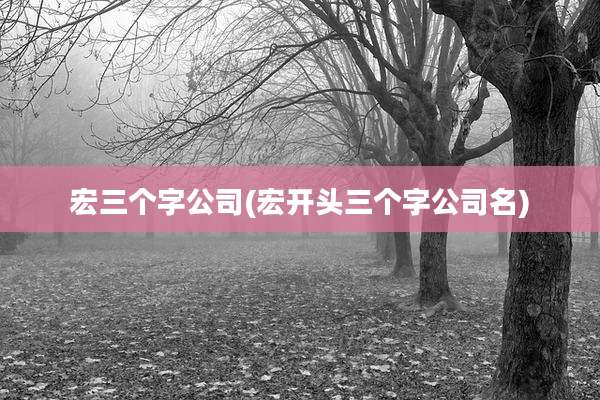 宏三个字公司(宏开头三个字公司名)