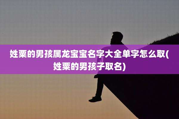 姓粟的男孩属龙宝宝名字大全单字怎么取(姓粟的男孩子取名)
