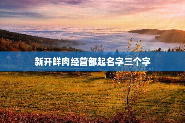 新开鲜肉经营部起名字三个字