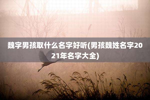 魏字男孩取什么名字好听(男孩魏姓名字2021年名字大全)