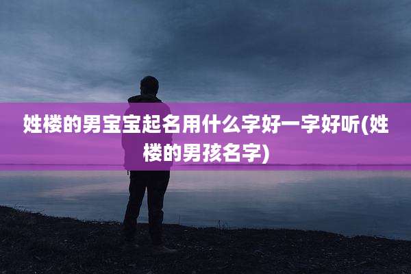 姓楼的男宝宝起名用什么字好一字好听(姓楼的男孩名字)