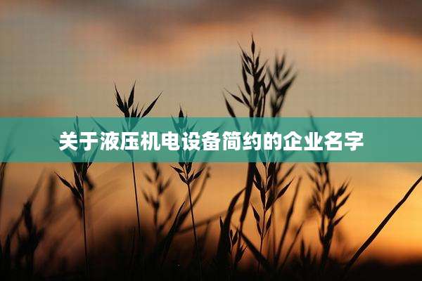 关于液压机电设备简约的企业名字