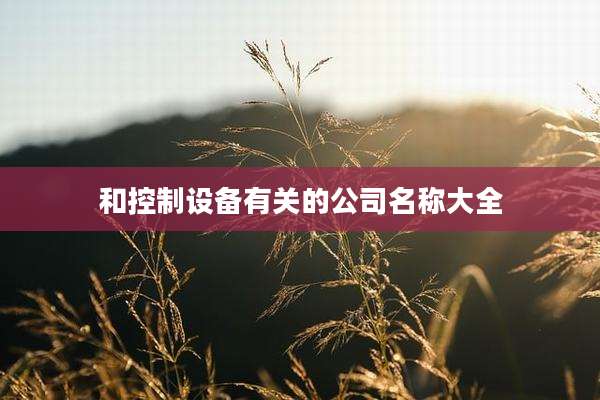 和控制设备有关的公司名称大全