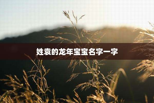 姓袁的龙年宝宝名字一字