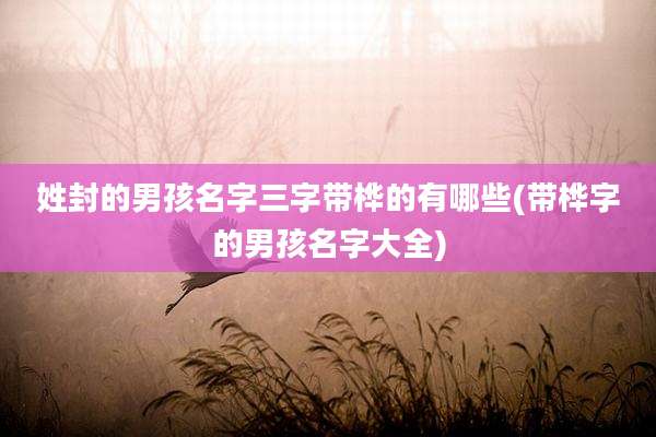 姓封的男孩名字三字带桦的有哪些(带桦字的男孩名字大全)
