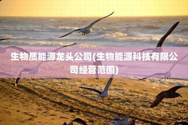 生物质能源龙头公司(生物能源科技有限公司经营范围)