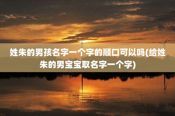 姓朱的男孩名字一个字的顺口可以吗(给姓朱的男宝宝取名字一个字)