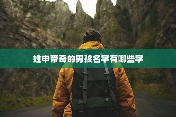姓申带奇的男孩名字有哪些字