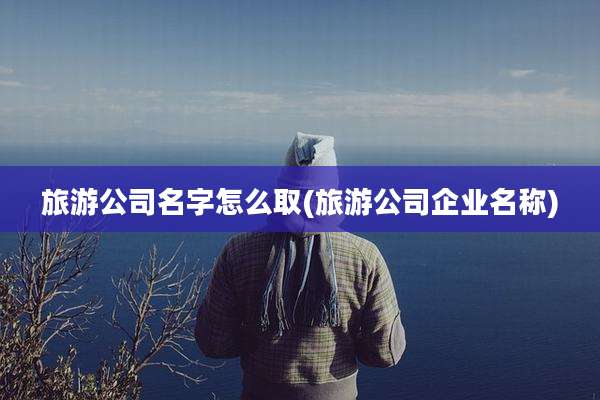 旅游公司名字怎么取(旅游公司企业名称)